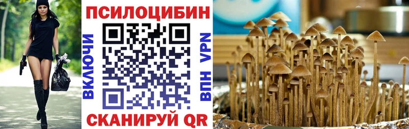 Псилоцибиновые грибы GOLDEN TEACHER  MEGA как зайти  Фатеж 